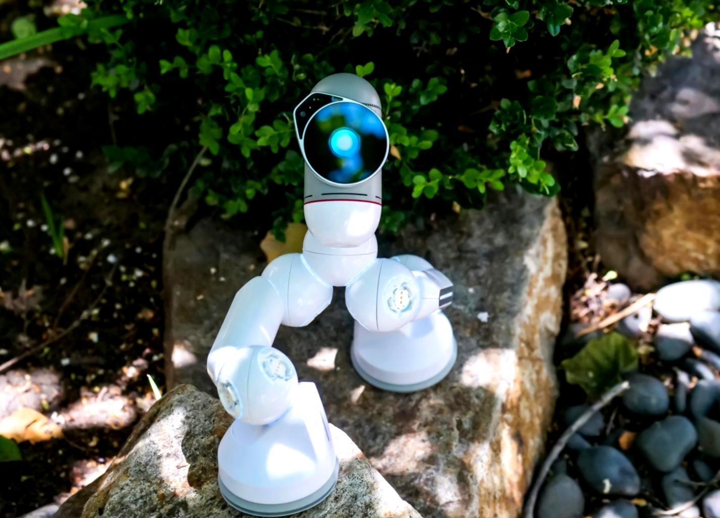 Espace de travail avec outils numériques pour la formation en IA