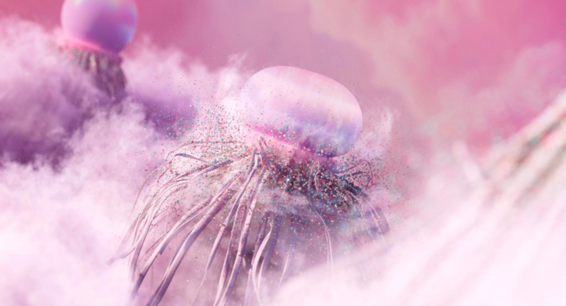 Équipe Gelarixentio travaillant sur l'analyse de données d'assurance